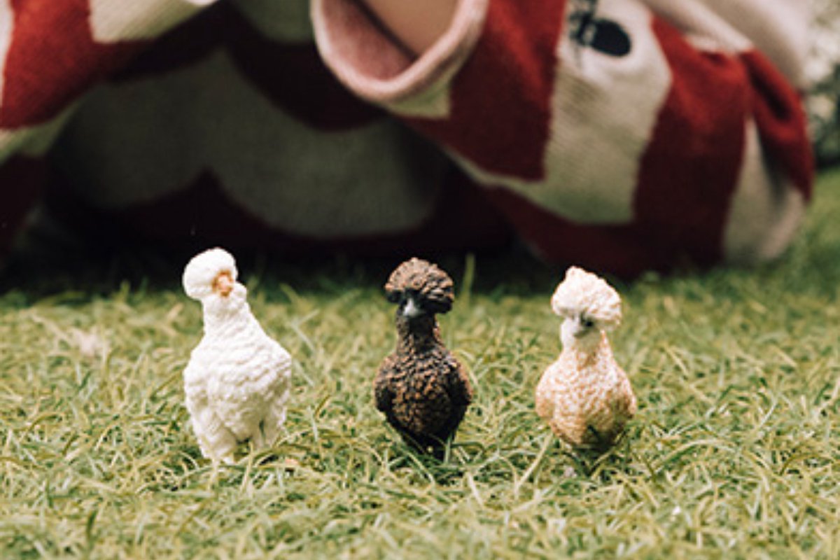 schleich FARM WORLD Kippenvrienden - Speelfigurenset - Kinderspeelgoed voor Jongens en Meisjes - 42574 — afbeelding 9