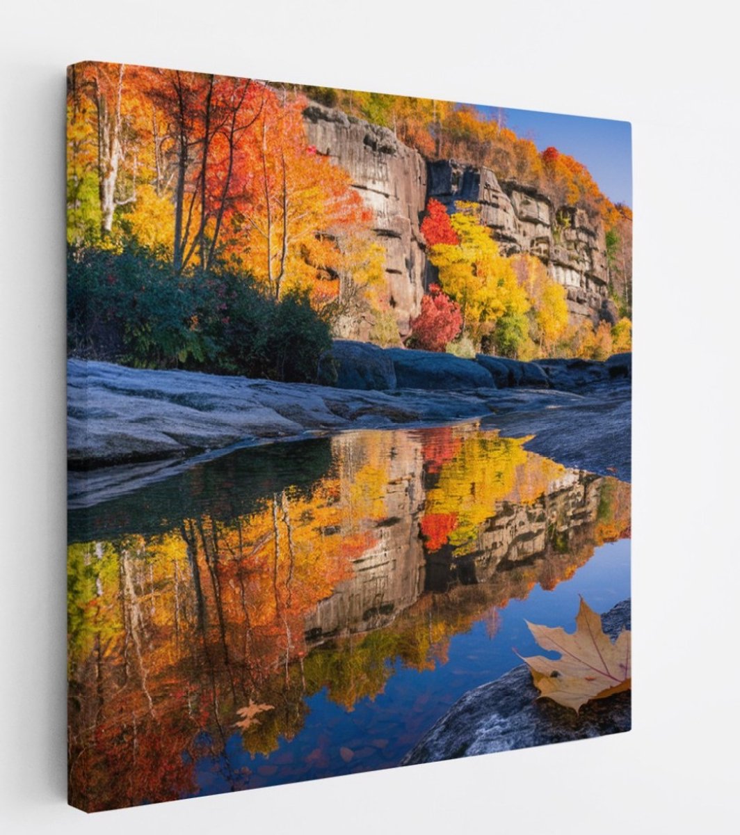 Saammp Canvas Schilderij - Blad op steen - Landschap - Natuur - 60x60 - Foto op canvas - Wanddecoratie - Muurdecoratie Woonkamer - Slaapkamer decoratie - Canvas Print