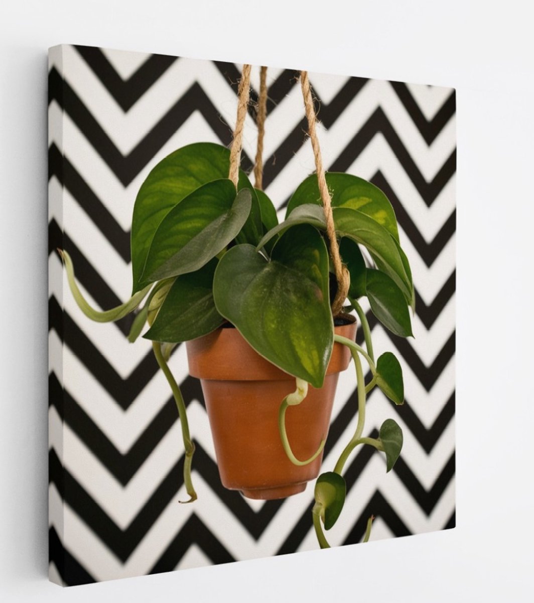 Saammp Canvas Schilderij - Hartvormige Bladplant in Pot - Natuur - Abstract - 40x40 - Foto op canvas - Wanddecoratie - Muurdecoratie Woonkamer - Kantoor Decoratie Multicolor