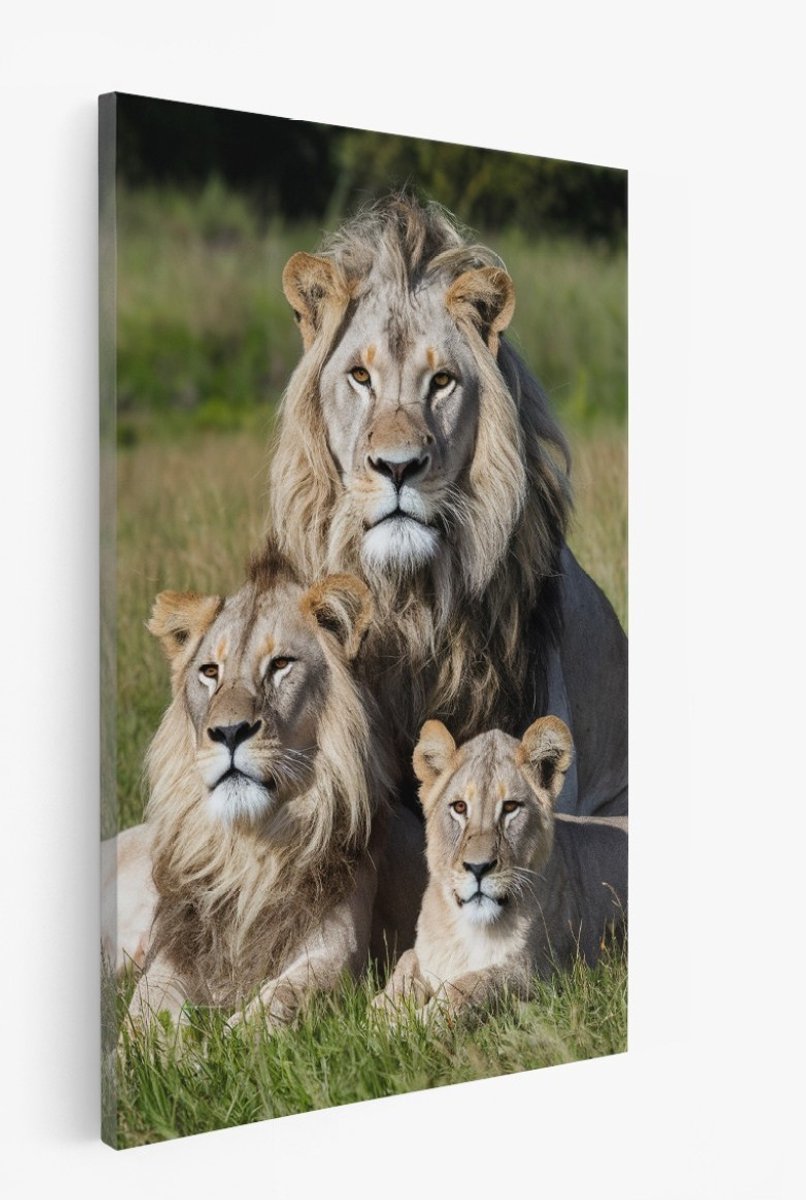 Saammp Canvas Schilderij - Leeuwen Familie - Natuur - Afrika - Dieren - 20x30 - Foto op canvas - Wanddecoratie - Muurdecoratie Woonkamer - Slaapkamer decoratie - Canvas Print Multicolor