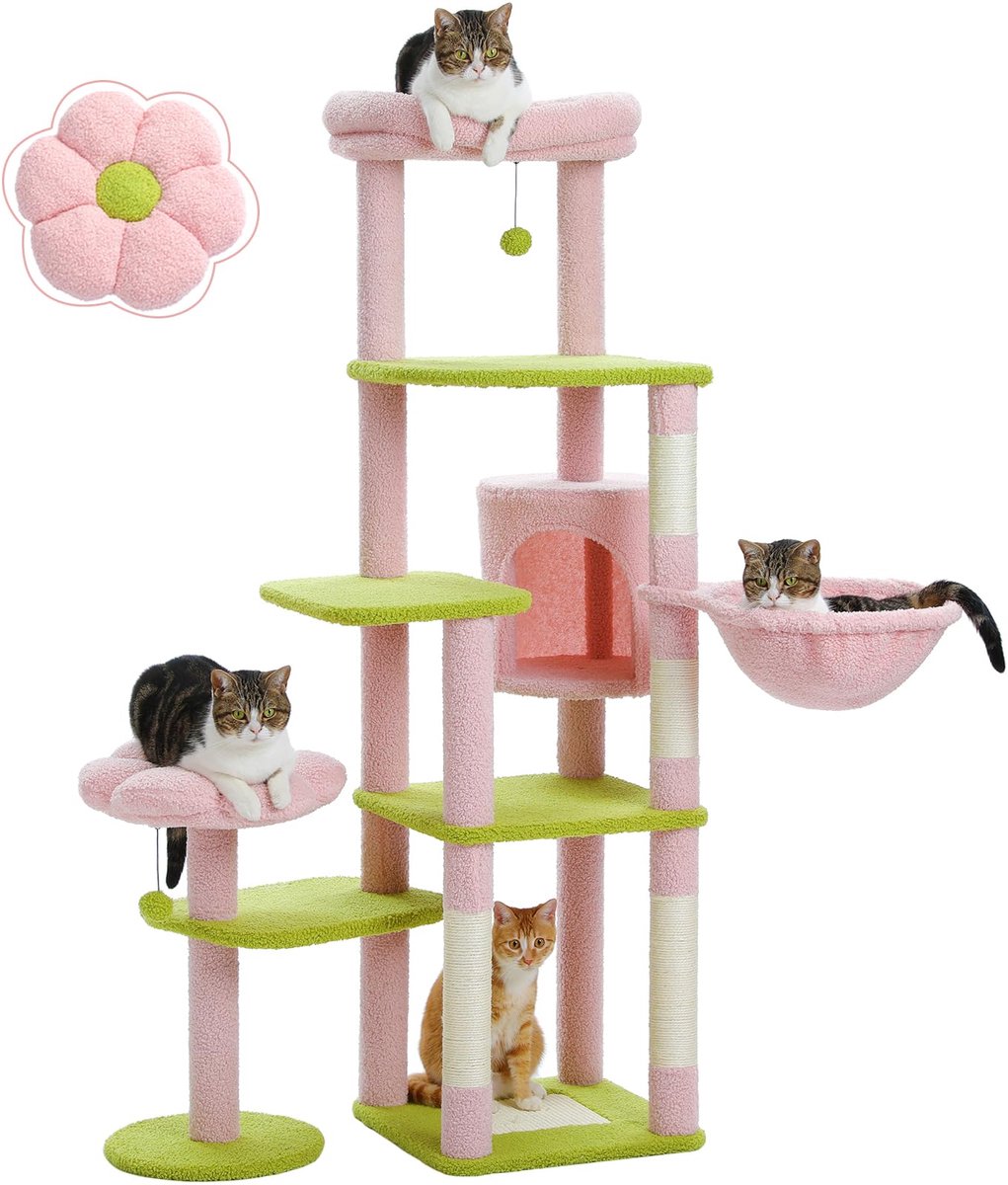 Inovra ® Hoge Krabpaal met Uniek Cactusontwerp en Meerdere Speelniveaus voor Katten