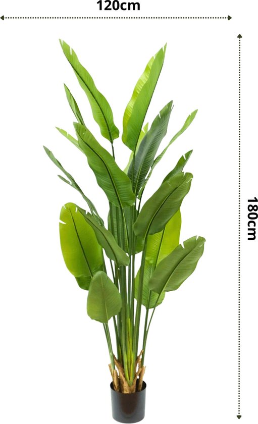 Strelitzia Kunstplant - 180 cm