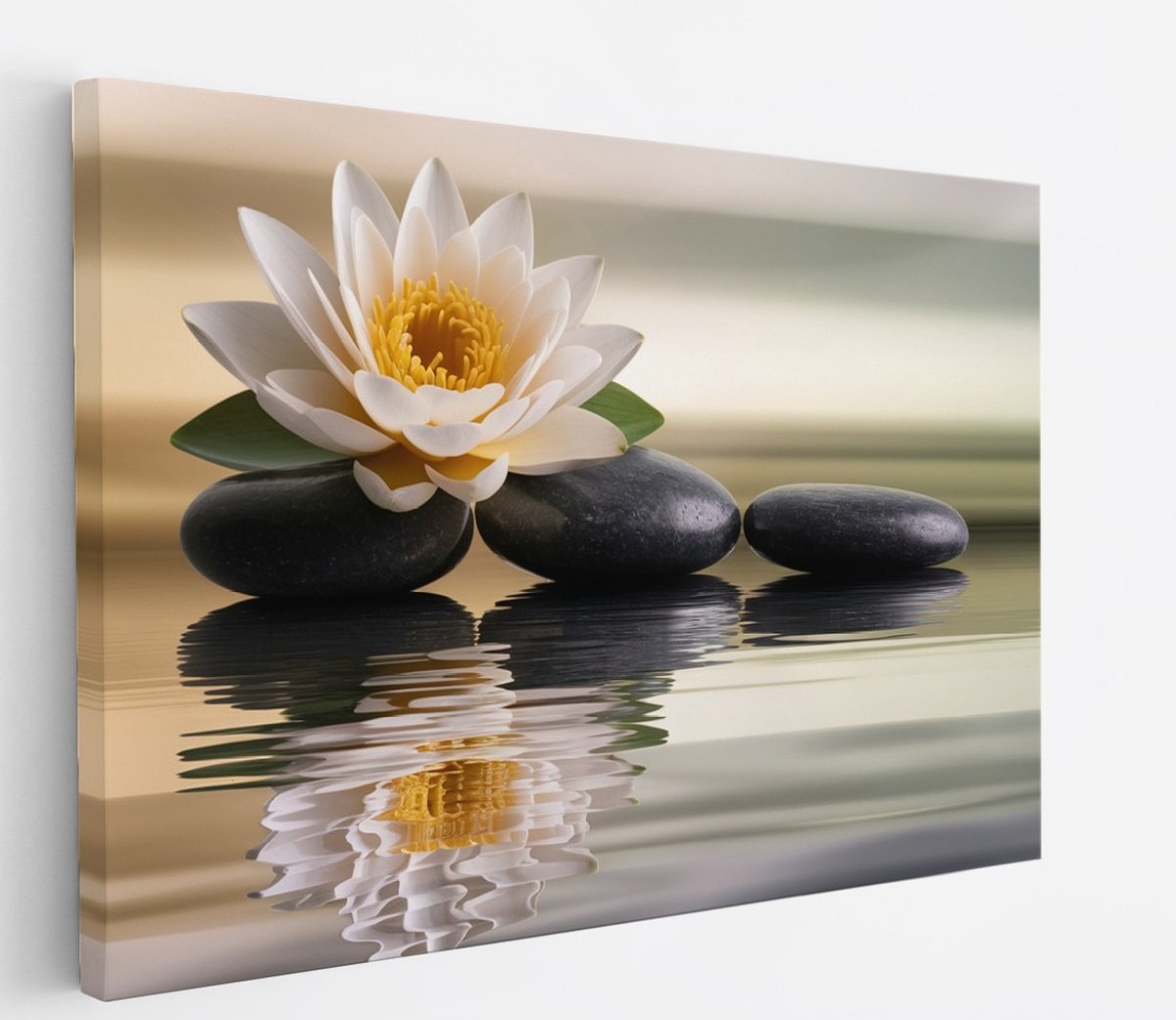 Saammp Canvas Schilderij - Lotusbloem op steen - Landschap - Natuur - 90x60 - Foto op canvas - Wanddecoratie - Muurdecoratie Woonkamer - Slaapkamer decoratie - Canvas Print Multicolor