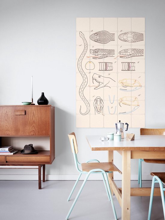 IXXI Serpent - Anatomie, Aster Edition - 100 x 140 cm - Gratis ophangtool - Grote wanddecoratie en posters - Technische Tekening, Illustraties, Line