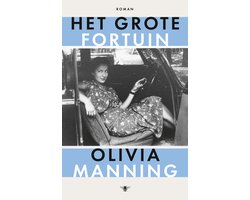 Omslag van Het grote fortuin