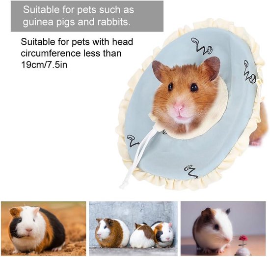 Vogelkegel für Haustiere, elisabethanisches Halsband für Hamster und