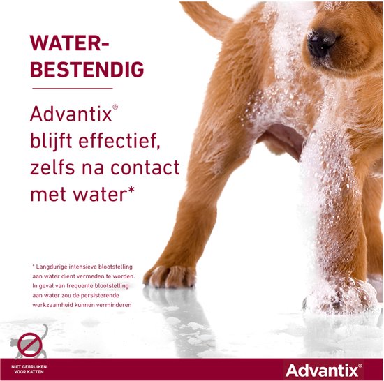 Bruine puppy met water en schuim. Tekst "Waterbestendig".