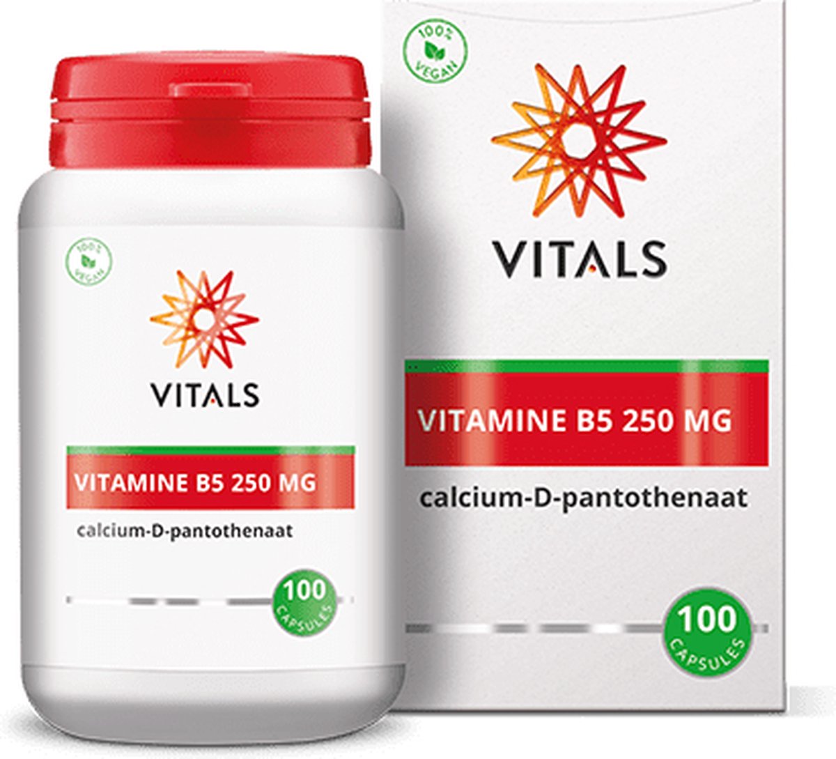 Goedkoopste Vitals Vitamine B5 250 mg - 100 capsules. Bevat een hoge dosering Calcium-D-pantothenaat in zuivere vorm.