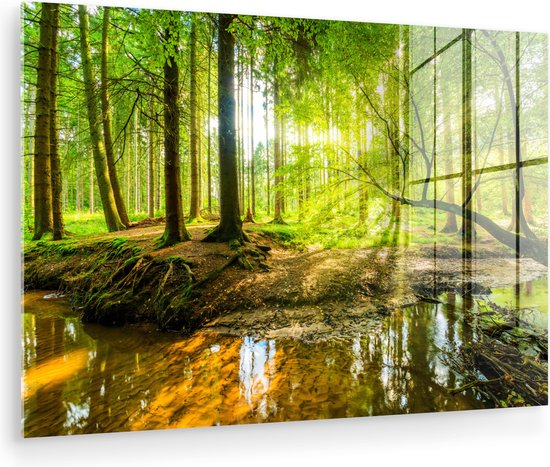 Bos met zonlicht door de bomen en reflectie in het water.