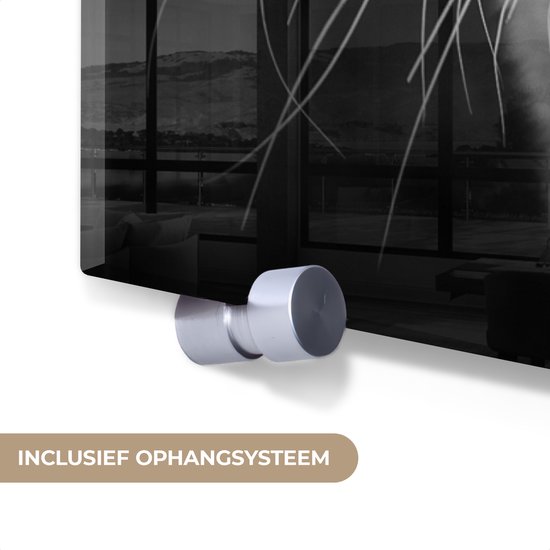 Peinture sur verre - Photo sur verre - Verre acrylique - Animaux - Tigre - Yeux - Blauw - 90x120 cm - Peinture sur verre tigre - Peinture sur verre noir et blanc - Décoration murale verre - Décoration murale animaux