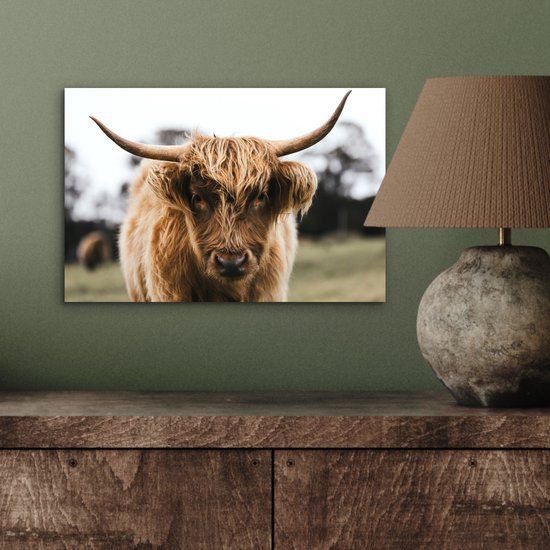 Aluminium schilderij 30x20 cm - Wanddecoratie metaal - Schotse Hooglander - Koe - Gras - Dieren - Natuur - Metalen muurdecoratie woonkamer - Decoratie industrieel - Foto op dibond - Industriële accessoires slaapkamer