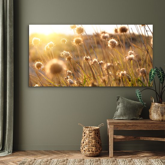 Décoration murale Métal - Peinture Aluminium Industrielle - Plantes - Nature - Fleurs - Soleil - Horizon - 160x80 cm - Dibond - Photo sur aluminium - Décoration murale industrielle - Pour le salon / chambre