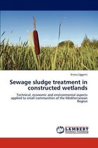 Sewage Sludge Treatment in Constructed Wetlands