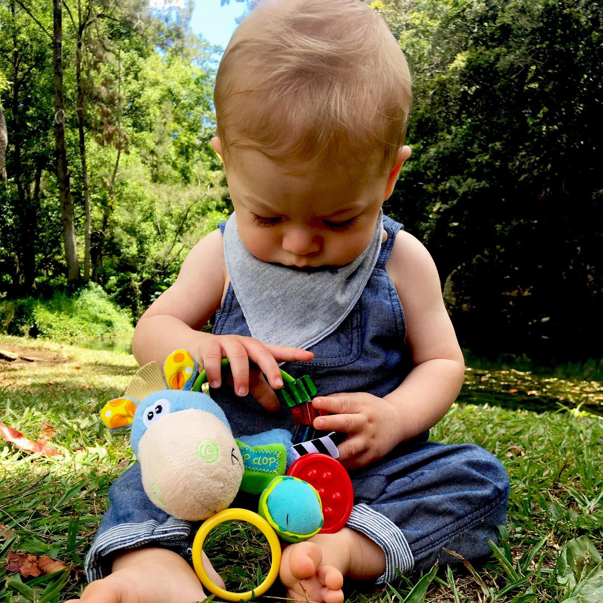 Playgro Clip Clop Rammelaar - Blauw - Activiteitenspeeltje -  Kraamkado — afbeelding 10
