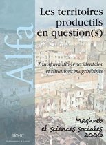 Maghreb et sciences sociales - Les territoires productifs en question(s)