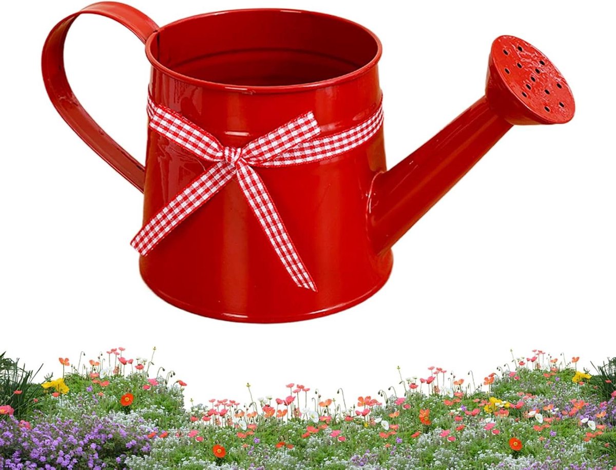 Kleine Gietertje - Waterpot Planten - Planten Water Geven - Fijne Broeskop - 1 Liter - Rood