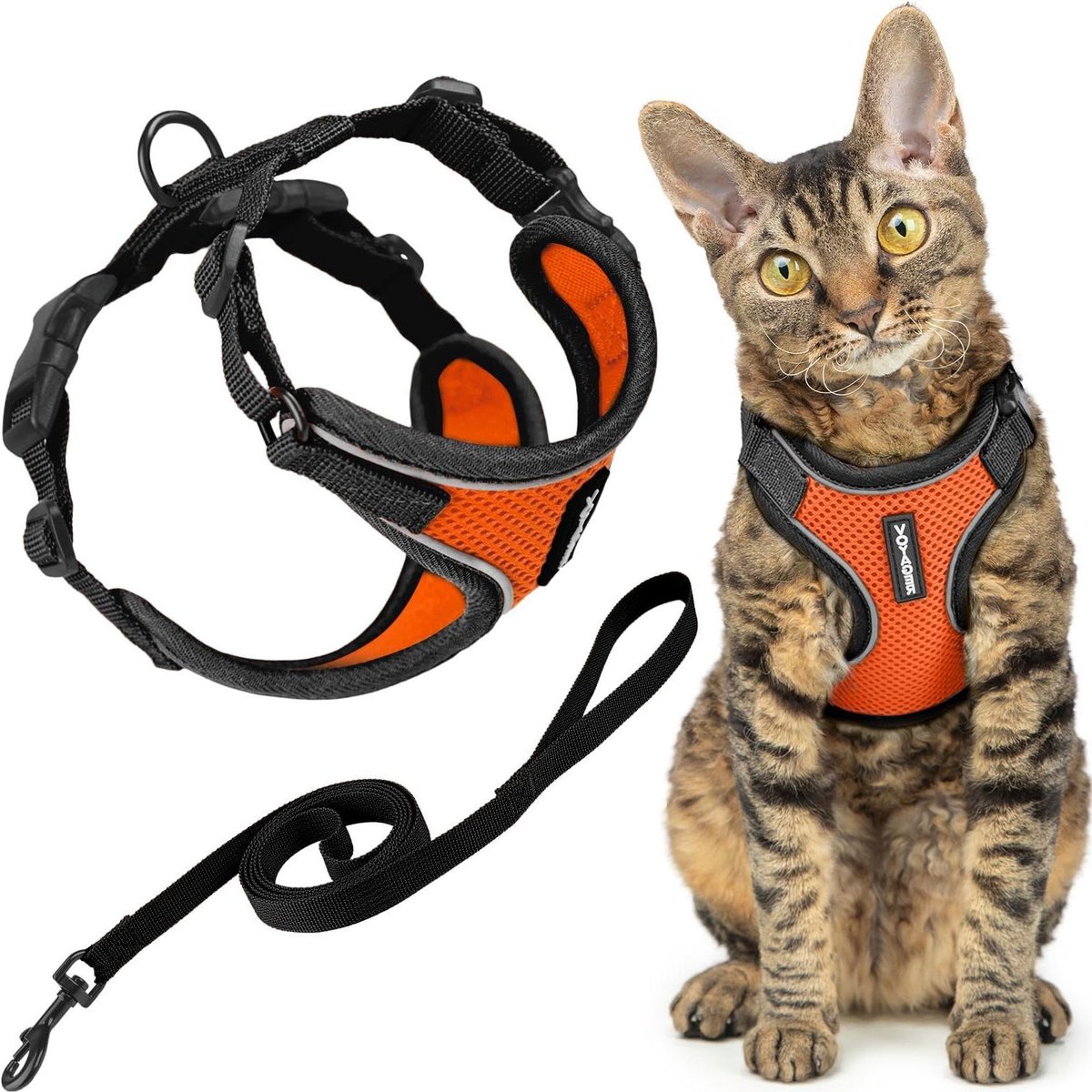 Huisdier Harnas - Kat Tuigje - Veilig Wandelen - Reflecterende Stiksels - Borst 26-33cm - Zwart Oranje