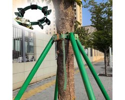 Boomsteunpaal - Boomstabilisator Steunpaal - Bomen Ondersteunen - Winddichte Orkaanbestendig - 2.2m - Groen