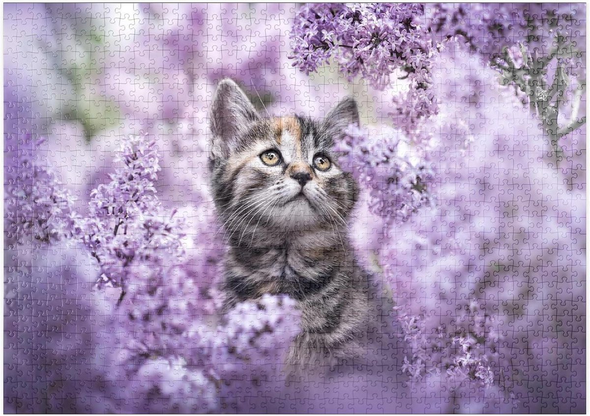 Legpuzzel Kittens Bloemen - Puzzel 1000 Stukjes - Ontspanning Thuis - Hoge Resolutie Print - 1000 Stukjes - Multicolor