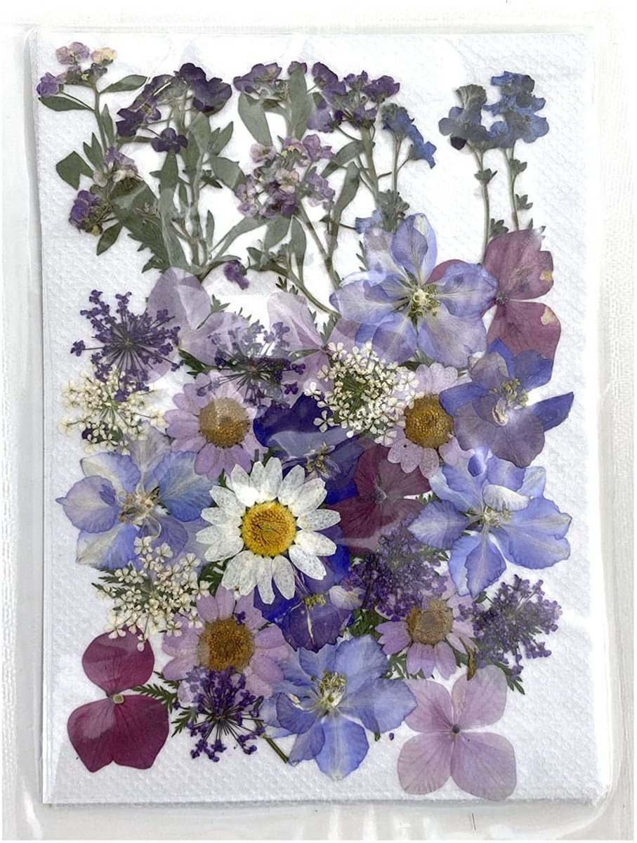 aladdien - Natuurlijke Gedroogde Bloemen - Lila Persbloemen - Perfect voor Resin - DIY Creaties - Ideaal voor Nail Art - Decoratie - Creatief gebruik