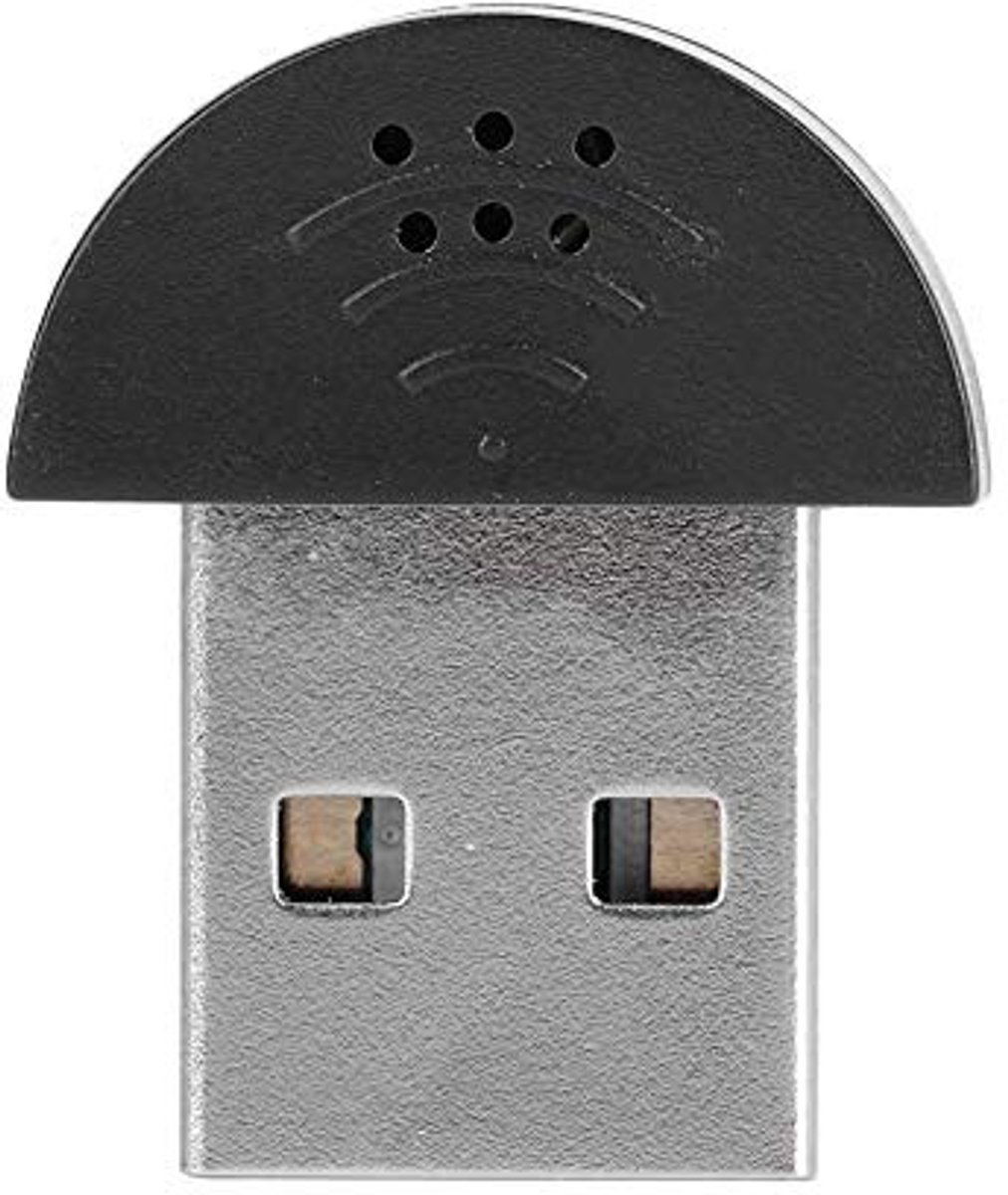 Dailygoods - Draagbare Mini USB Microfoon voor PC en Notebook