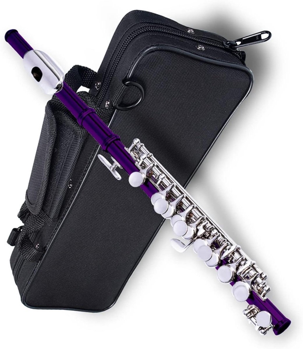 Dwarsfluit C Key - Piccolo Fluit - Muziek Maken - Half-size - 1000 Gram - Zilverkleurig
