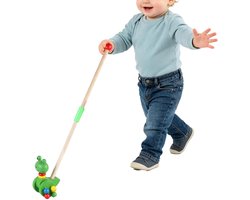 Houten Wandelaar - Trekspeelgoed Baby - Motoriek Ontwikkeling - Stabiel Veiligheidsmechanisme - 265 x 10 x 8 cm - Kikker