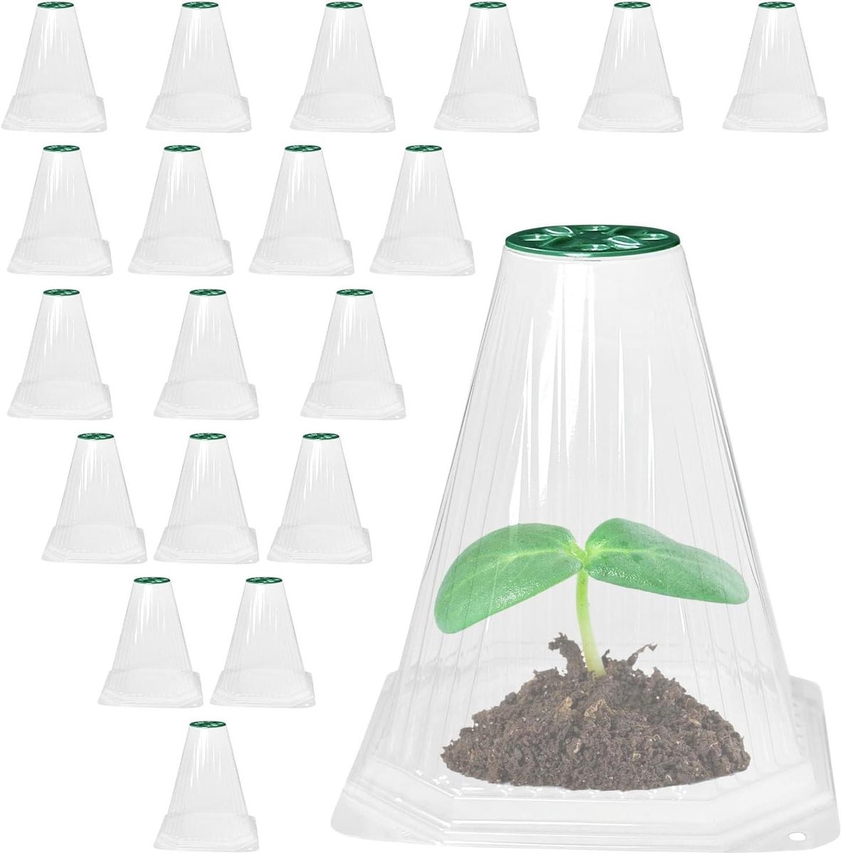 Plantenbeschermers - Tuin bellen - Planten beschermen - Optimale waterstroom - 20 stuks - Transparant