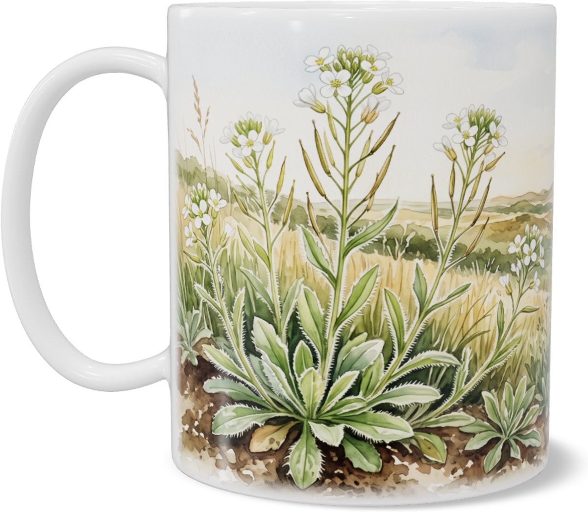 Mok met ruige scheefkelk in uitgestrekt duinlandschap - sfeervolle aquarel illustratie