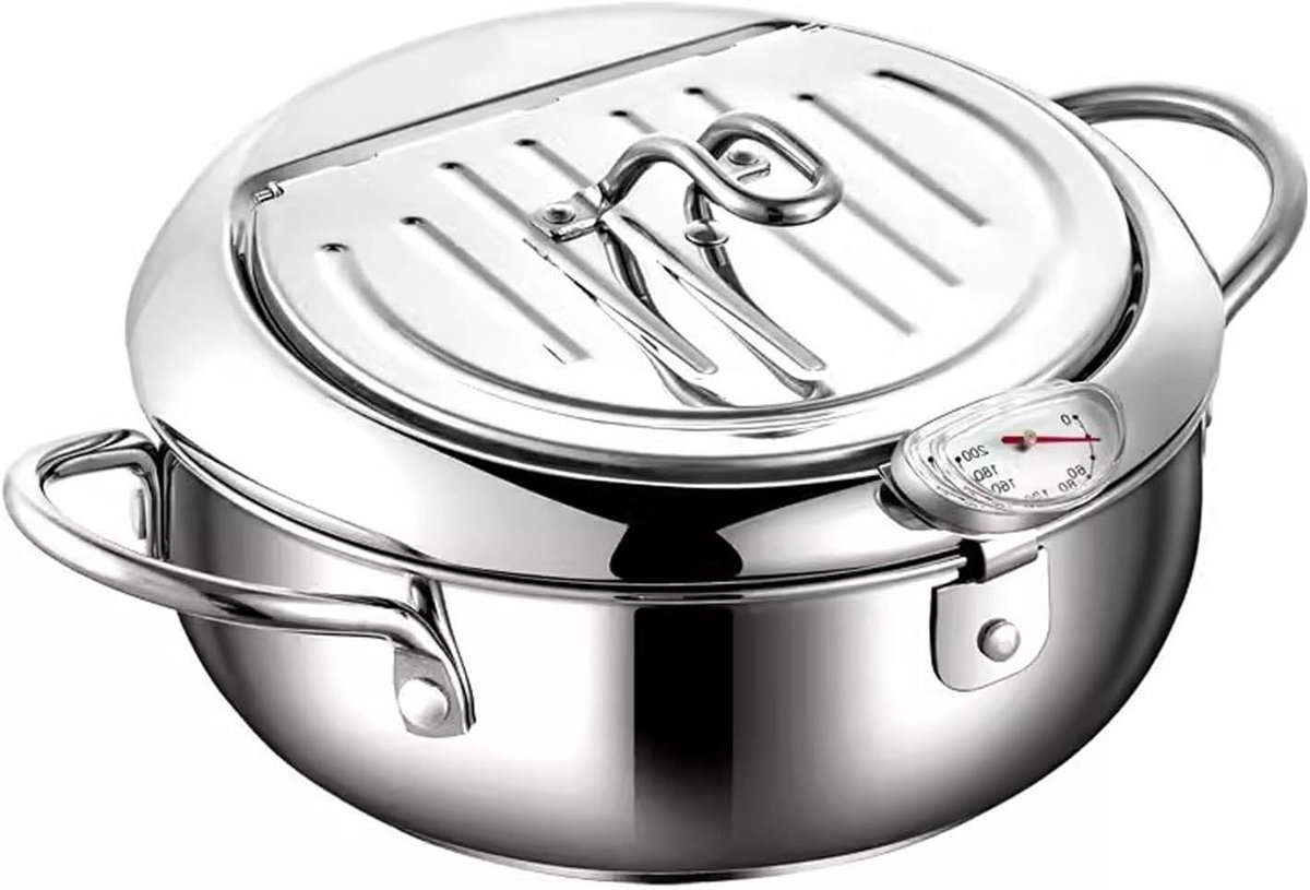 Huishoudelijke Friteuse - Kleine Frituurpan - Lekker Frituren - Ingebouwde Thermometer - 304 Roestvrij Staal - Zilverkleurig
