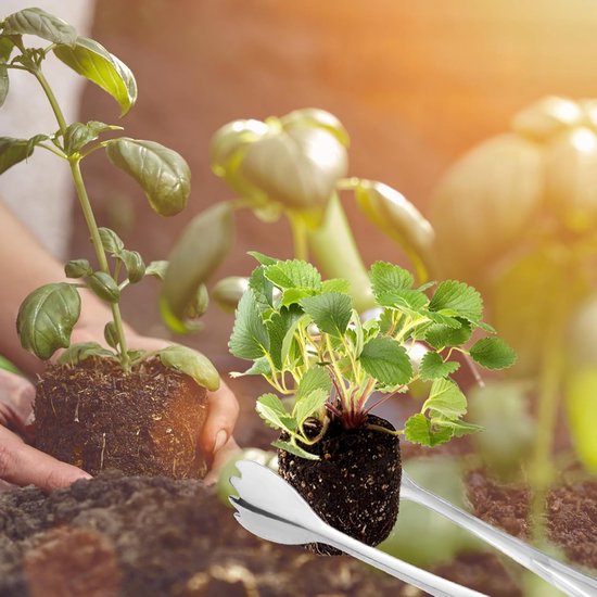 Set van 2 Transplantatierods van RVS van 20,5 cm voor het Verplanten van Zaailingen, Tuinaccessoires voor Minder Wortelschade en Efficiënt Planten — afbeelding 2