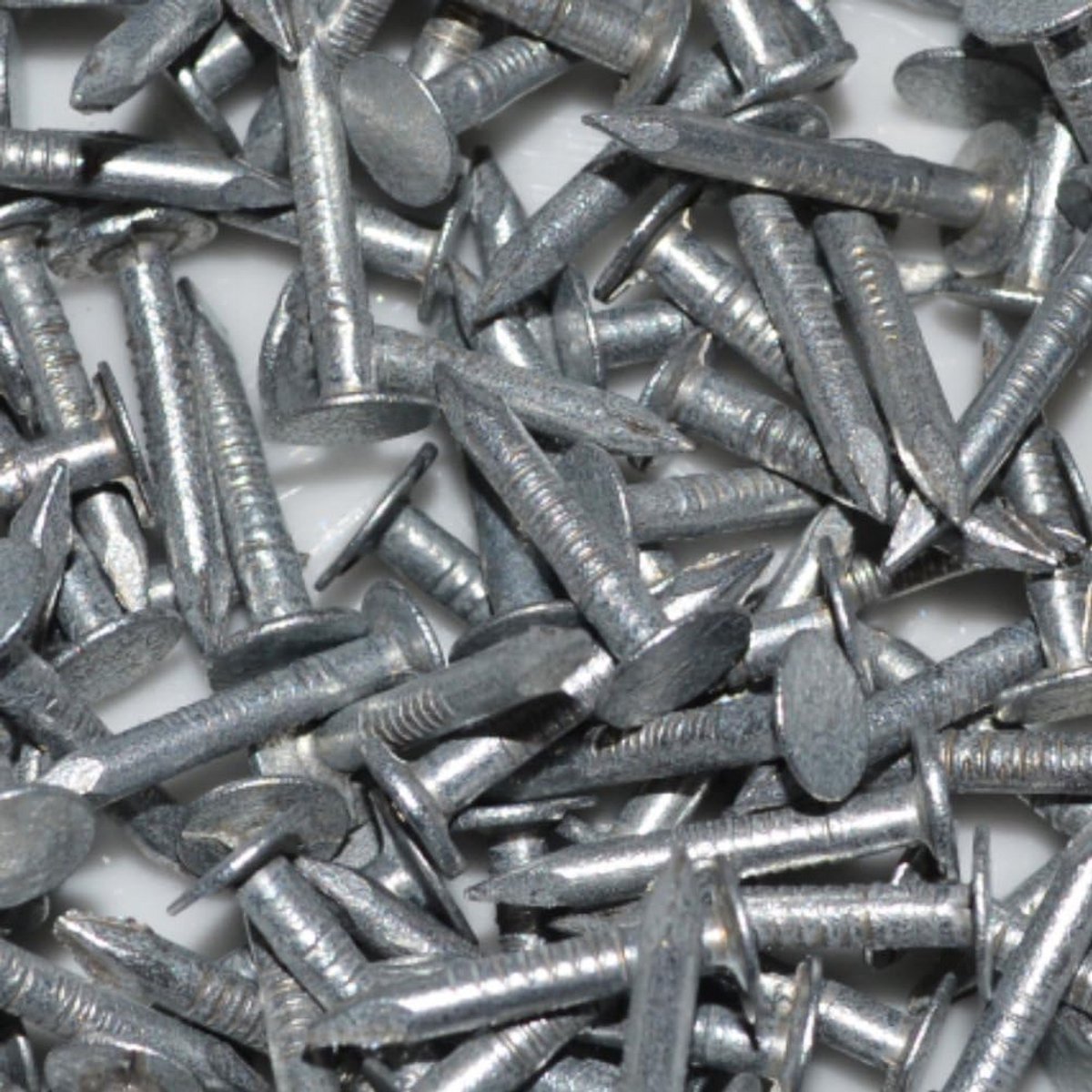 Verzinkt dakvilt Clout spijkers 13 mm (verpakking van 40)