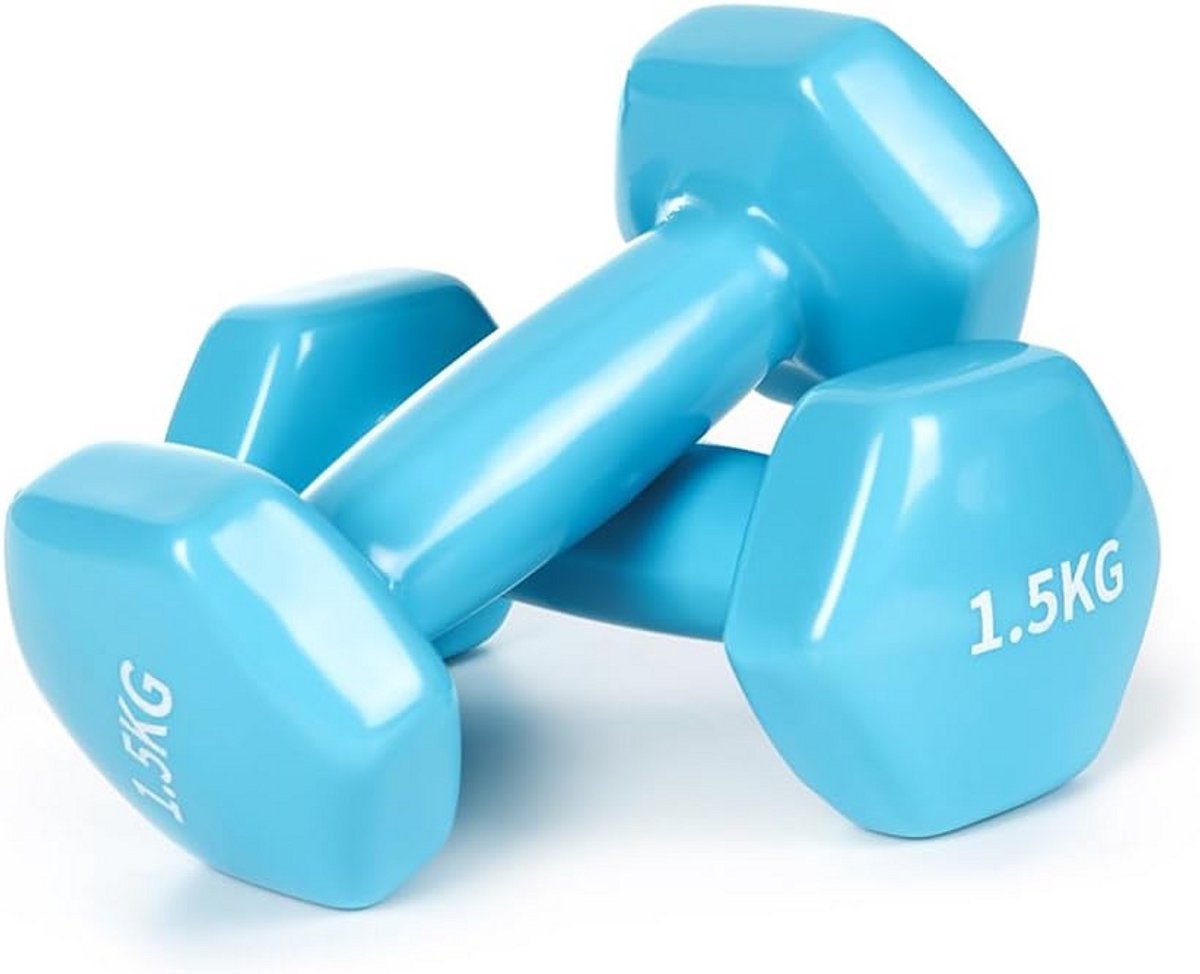 Set of 2 Vinyl Dumbbells, Dumbbells, Weights with Vinyl Surface, Weight Variations, 2 x 0.5 kg to 2 x 3 kg, for Gymnastics, Aerobics, Fitness, Pilates, Strength Training