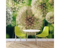 Forest Flowers Nature Forwall Photo Wallpaper Wallpaper Photo Wall Picture (056WM) XXXL 416cm x 254cm - Non-Woven (EasyInstall) - Pack of 4