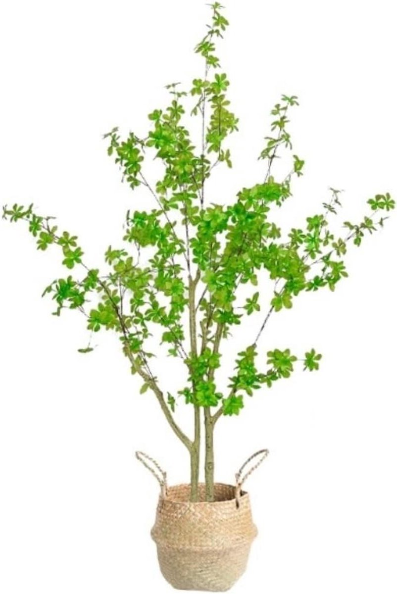 Kunstboom - Nep Plant - Woonkamer Decoratie - Onderhoudsvrij - 150 cm - Groen