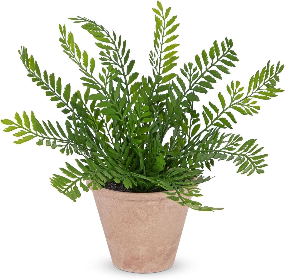 Kunstvaren potplant - Nepplant met pot - Woonkamer decoratie - Realistische bladeren - 30 cm hoogte - Groen
