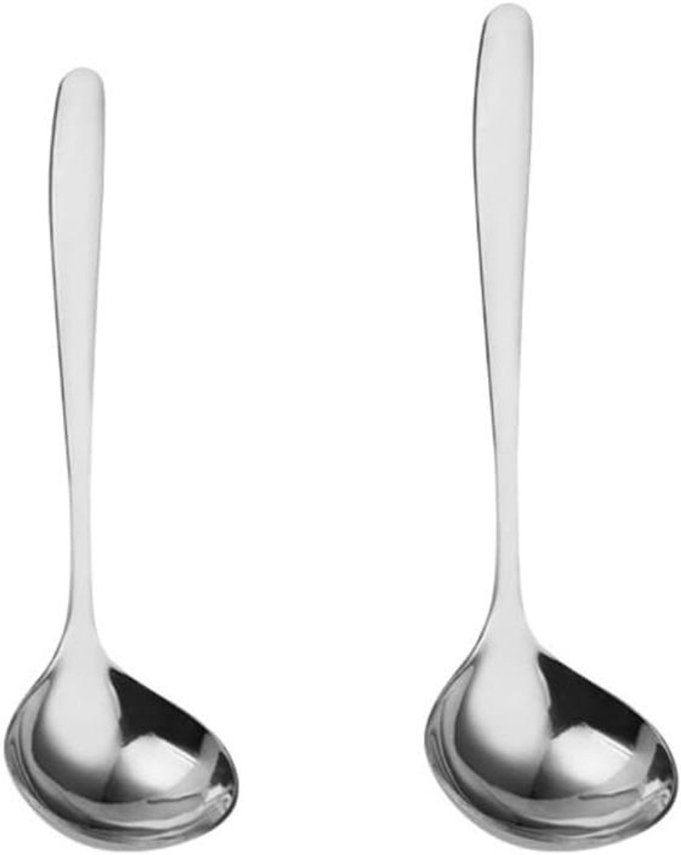 Keuken Pollepel - Soeplepel Rvs - Serveren van Soep - Ergonomisch Handvat - 2 Stuks - Zilver