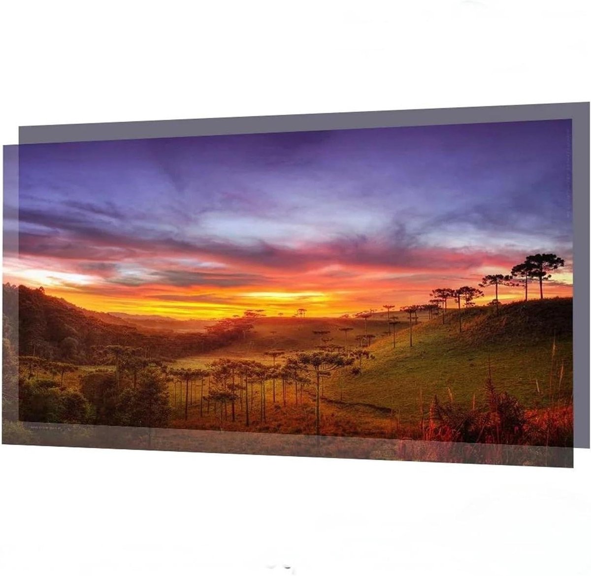 Projectiescherm Canvas - Filmdoek Scherm - Thuisbioscoop Creëren - Omgevingslicht Blokkerend - 150 Inch 16:9 - Wit