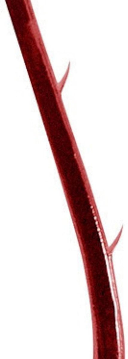 Paling Onderlijn - Aal Haken - Vissen Voorbereiden - Kant-en-Klaar - 10 Stuks 70cm - Rood — afbeelding 5