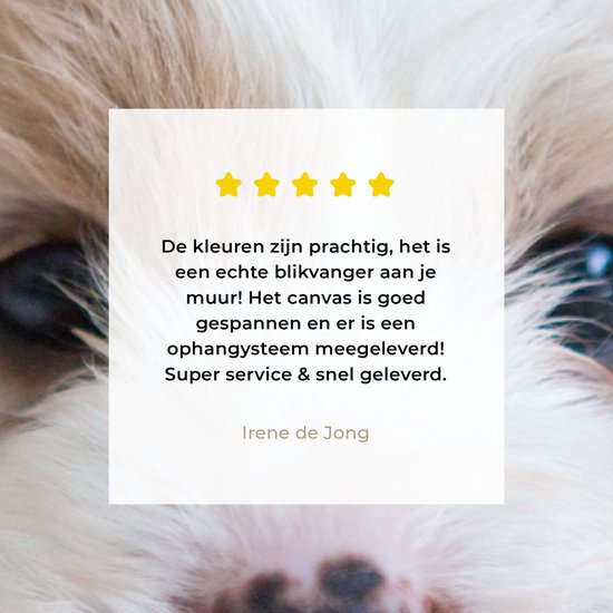 Tableau sur toile Gros plan d'un chiot Cavachon - 160x80 cm - Décoration murale