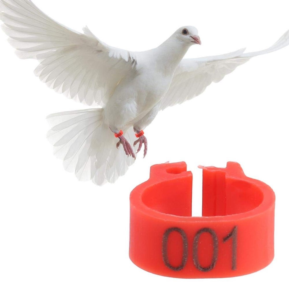 Dailygoods - Dailygoody - Duivenringen Set - Kunststof Pootringen - Genummerd 001-100 - Rood - Duiven Vogels - Herbruikbaar en Duurzaam - 100 Stuks