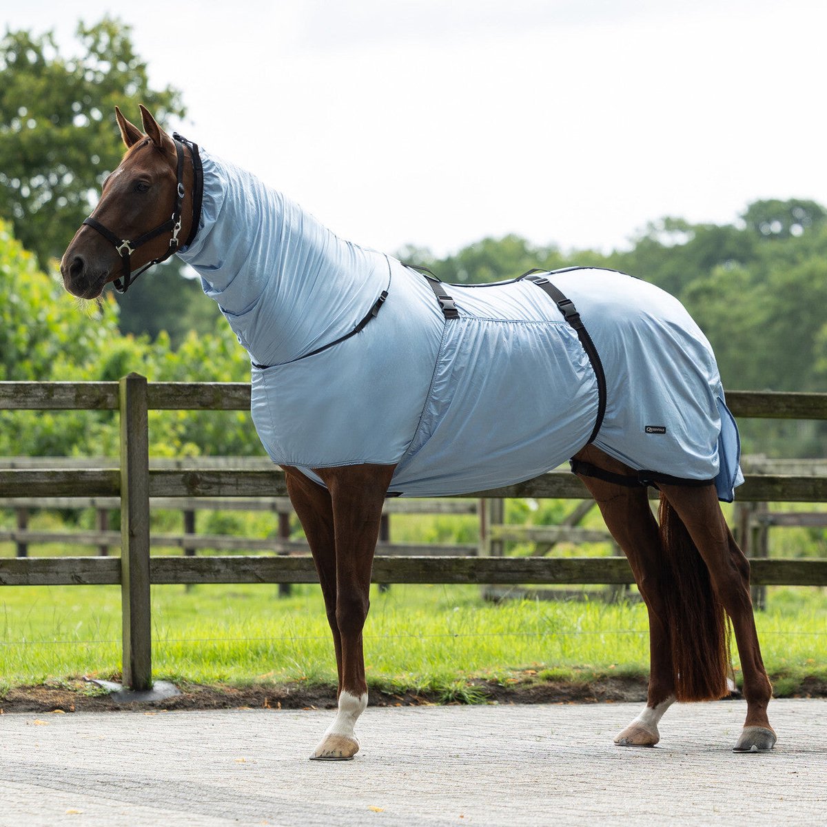 Q-essentials Eczeemdeken Steel Blue 145/195 cm