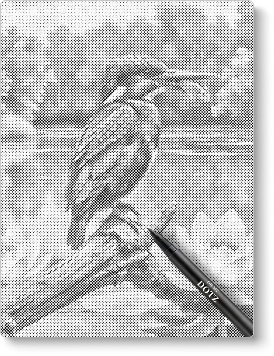 IJsvogel Op Tak | Dot painting | 40x50cm | Dot painting | Oh My Dotz | Dots stippen | Diamond painting & Schilderen op nummer alternatief | Happy hobby