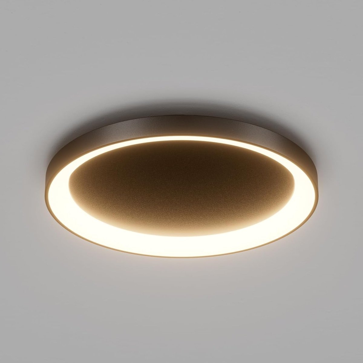 Ronde LED Plafondlamp 56 W met 3500 Lumen, Modern Design voor Hal, Slaapkamer, Keuken en W