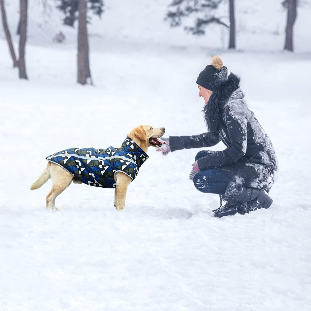 Warme Hondenjas voor Kleine en Middelgrote Honden - Winter Sweater met Riemopening en Snowsuit Outfit voor Huisdieren