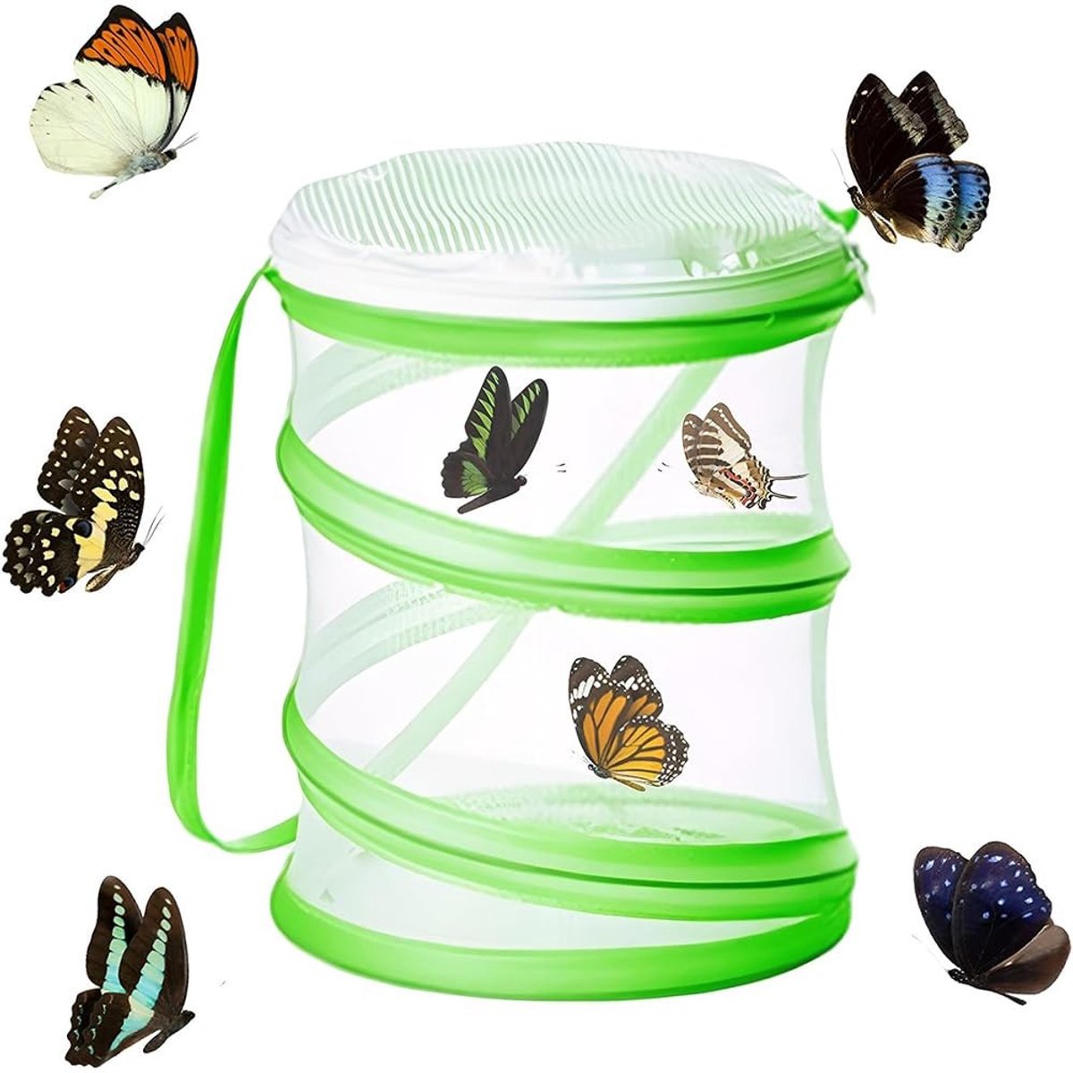 Allecto - Vouwbare Vlinderkooi - Insectenfence - Onderwijs - Wetenschappelijk - Insectenhouder - Geschikt voor kinderen - Formaat 30x30x60 cm