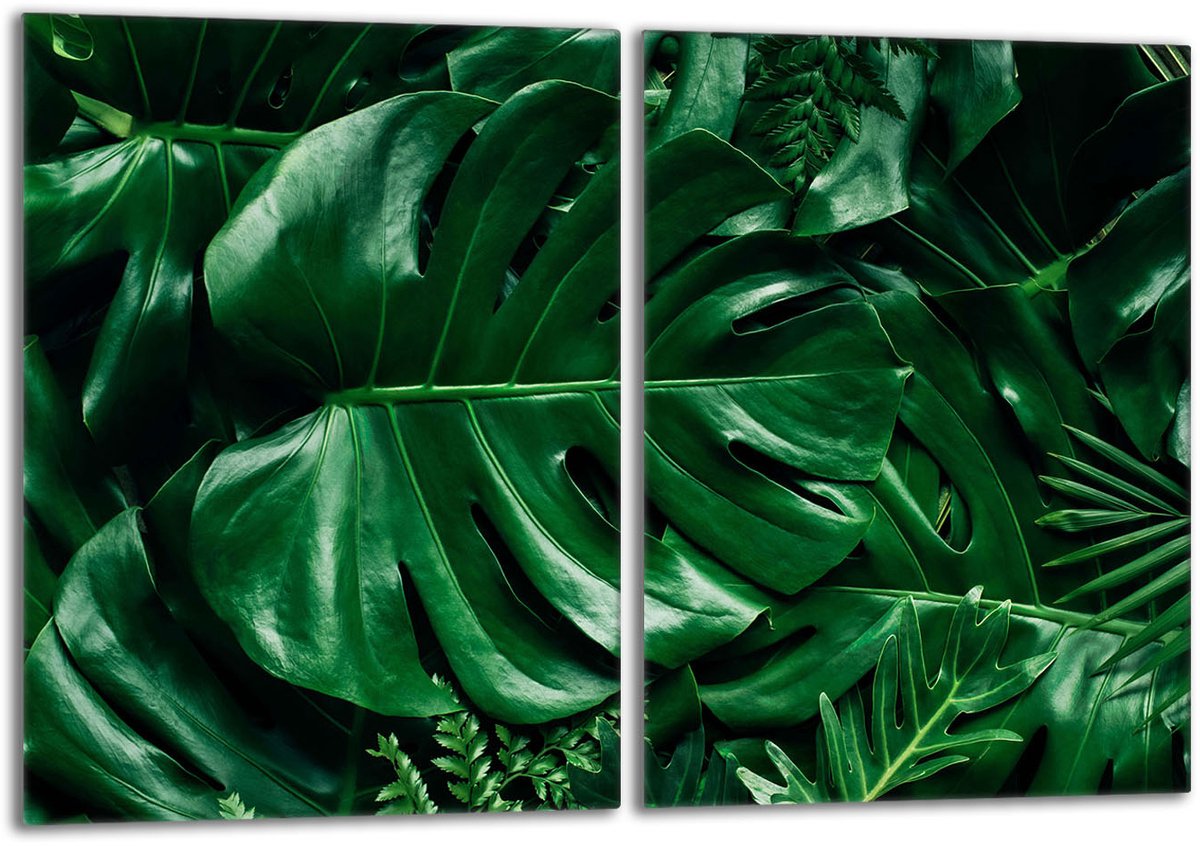 TMK ArtDeko - Glazen Beschermplaat - Snijplank - 2x40x52 - Monstera