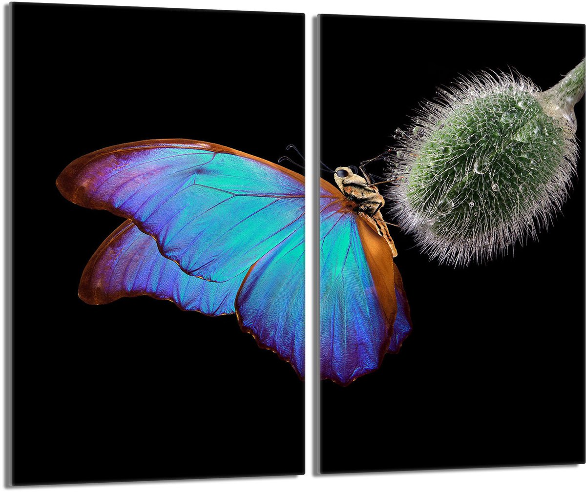 TMK ArtDeko - Snijplank - 30x52 cm - Motief: Vlinder