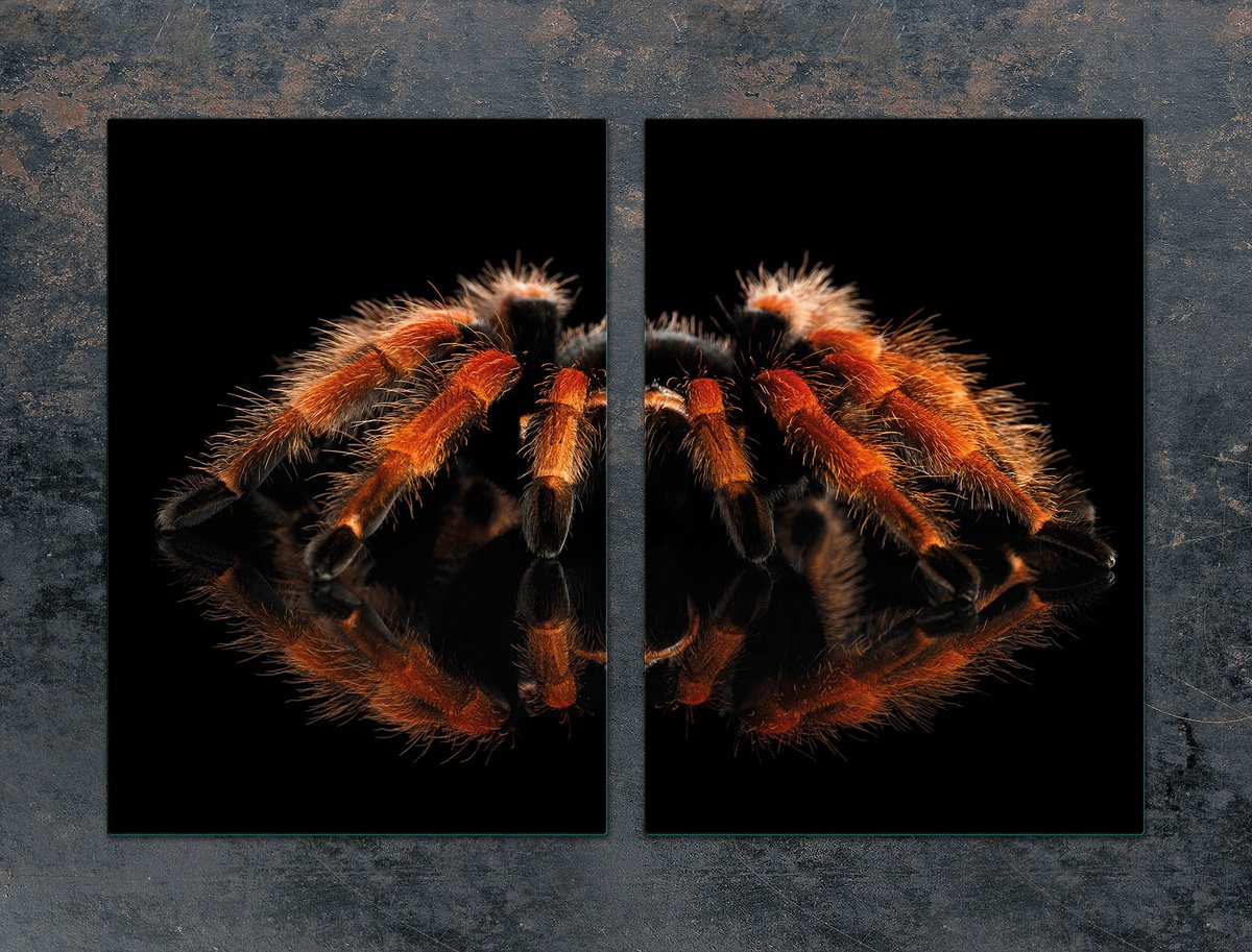 TMK ArtDeko - Glasplaat - 2x35x52 cm - Beschermplaat - Snijplank