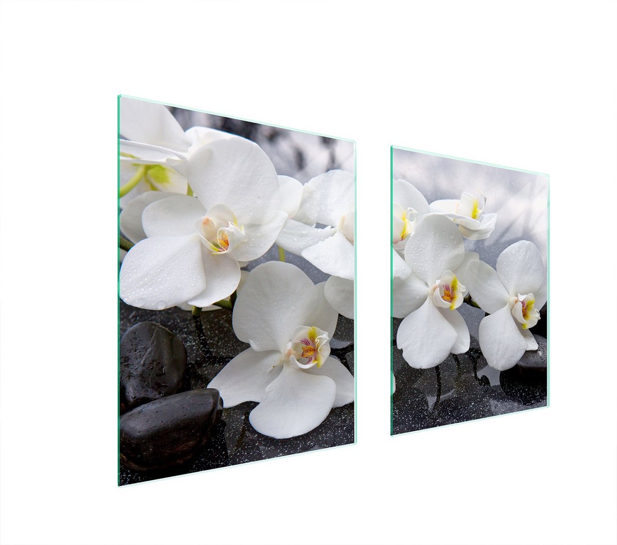 TMK ArtDeko - Orchidea - Glazen Beschermplaat - 85x52 cm - Meerkleurig